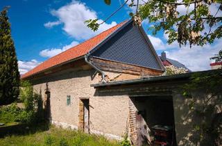 Einfamilienhaus kaufen in 04509 Delitzsch, Delitzsch - Einfamilienhaus Lehmhaus Bauernhaus
