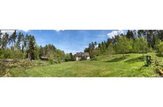 Haus kaufen in 92702 Kohlberg, Kohlberg - Naturparadies in Alleinlage!