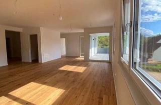 Penthouse kaufen in 72221 Haiterbach, Penthouse-Wohnung -Erstbezug- mit toller Raumaufteilung und großem Balkon mit reizvollem Ausblick