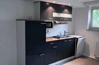 Wohnung mieten in 71254 Ditzingen, 1 Zimmer-Apartment in Ditzingen