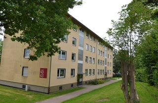 Wohnung mieten in Birkenallee 45, 34225 Baunatal, Familienfreundliche 3-Zimmerwohnung im Erdgeschoss (Hochparterre)