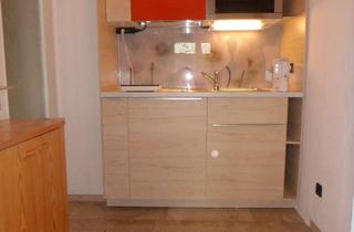 Wohnung mieten in Bergstr. 11-1, 74392 Freudental, Nur für Wochenendpendler: Modernisierte 1-Zimmer-Erdgeschosswohnung mit Einbauküche in Freudental