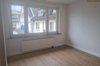 Wohnung mieten in 57223 Kreuztal, Frisch renovierte 1-Zimmer-Wohnung in Kreuztal!