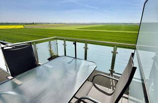 Penthouse mieten in Im Rosengarten 2a, 50127 Bergheim, **Zweitbezug* * PENTHOUSE 2 Zi-Whg, überwältigende Dachterrasse, Licht-durchflutet, Walk-In Shower
