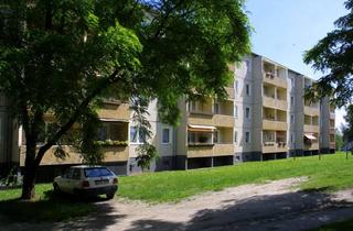 Wohnung mieten in Finsterwalder Straße 26a, 03253 Doberlug-Kirchhain, 3-Raum-Wohnung in ruhiger Lage