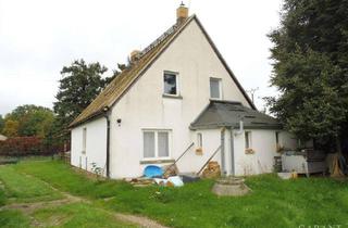 Einfamilienhaus kaufen in 04808 Falkenhain, Einfamilienhaus mit großem Grundstück in ruhiger Lage