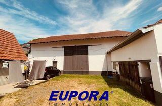 Geschäftslokal mieten in 67304 Eisenberg, EUPORA® Immobilien: Scheune/Kaltlager in Eisenberg