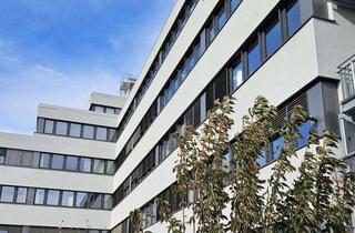 Gewerbeimmobilie mieten in Dresdner Straße 78, 01445 Radebeul, Moderne Büroflächen in Radebeul - sofort verfügbar, Erstbezug nach Sanierung