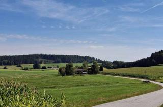 Haus kaufen in 94209 Regen, Sacherl Bauerhof Resthof in Alleinlage Bayrischer Wald