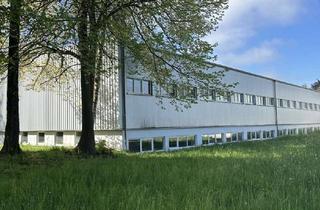 Gewerbeimmobilie mieten in 88299 Leutkirch, Attraktive Gewerbehallen zw. 675 und 4.990 m² mit top Infrastruktur in Leutkirch zu vermieten