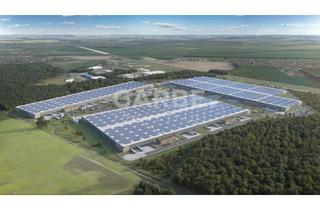 Gewerbeimmobilie mieten in 16833 Fehrbellin, *Direkt vom Eigentümer* ca. 230.500 m² Hallenfläche, teilbar ab ca. 10.000 m²