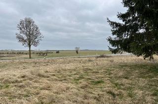 Grundstück zu kaufen in Dorfstraße, 17111 Beggerow, Baugrundstück