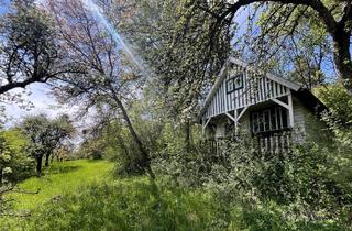Grundstück zu kaufen in Oberer Weinberg, 98646 Hildburghausen, verwunschenes Gartengrundstück, naturbelassen