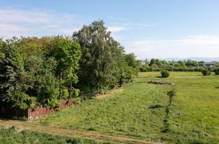 Immobilie mieten in 94315 Eglsee, Freizeitgrundstück / Nutzfläche zur Pacht – Eglseer Moos in Straubing 1500 m²