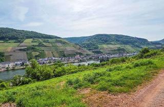 Gewerbeimmobilie kaufen in B 53, 56856 Zell, Gerodetes Grundstück mit Blick auf die Mosel