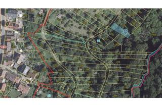 Gewerbeimmobilie kaufen in 70619 Sillenbuch, Ruhiges Freizeitgartengrundstück in Stuttgart-Sillenbuch