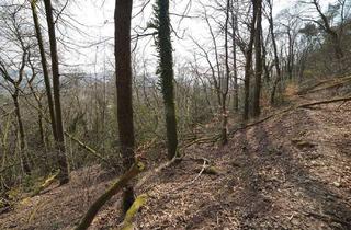 Gewerbeimmobilie kaufen in 54293 Ehrang, Auktion 11.06.2026 - Kleine Waldfläche in Trier - nahe Wohnsiedlung