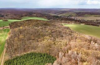 Gewerbeimmobilie kaufen in 06456 Sandersleben, Auktion 11.06.2026 - 3,8 ha hochwertiger Laubwaldbestand