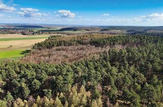 Gewerbeimmobilie kaufen in 39638 Zichtau, Nachauktion - 12,1 ha Forstliegenschaft mit Kiefer, Eiche und Rotbuche bei Gardelegen