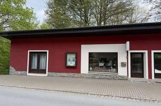 Haus kaufen in 08648 Bad Brambach, Charmante Gewerbeimmobilie im Kurort Bad Brambach