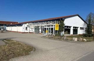 Gewerbeimmobilie kaufen in 17219 Möllenhagen, Sie suchen nach einer großen Gewerbehalle?