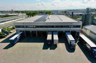 Gewerbeimmobilie mieten in 67227 Frankenthal, Moderne Logistikhalle mit Top A6 Anbindung 15 Tore großzügige Freifläche
