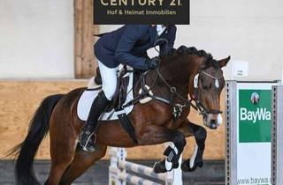 Anlageobjekt in 84453 Mühldorf, VORANKÜNDIGUNG: Professionelle Reitsportanlagen mit Halle aus Altersgründen zu verkaufen!