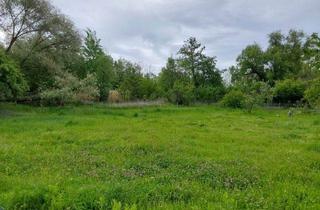 Grundstück zu kaufen in 04617 Haselbach, Exklusives Baugrundstück in einmaliger Naturlage – bauträgerfrei an den Haselbacher Teichen