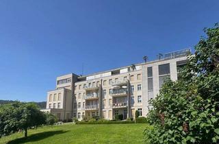 Wohnung mieten in 69117 Altstadt, Exklusive 2-Zimmer-Wohnung mit großem Garten