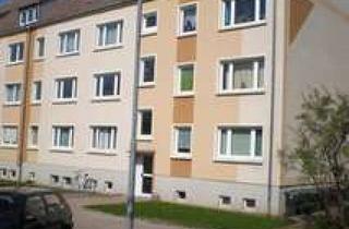 Wohnung mieten in Apfelweg, 04668 Thümmlitz, gemütliche 1-Raum Wohnung in Dürrweitzschen bei Grimma