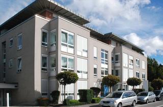 Wohnung mieten in Gögginger Str. 127, 86199 Göggingen, Sonniges Appartement mit Wintergarten