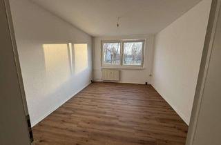 Wohnung mieten in Hauptstraße, 19230 Warlitz, Warlitz - Renovierte und ruhige 3 Zimmer Erdgeschosswohnung ab sofort zu vermieten