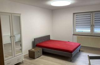 Wohnung mieten in 67105 Schifferstadt, Geräumige, 1-Zimmer- Erdgeschoßwohnung (Erstbezug nach Renovierung)