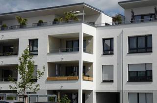 Wohnung mieten in Petronia-Steiner-Straße 23, 67346 Speyer, 4 Zimmer in Speyer, 1. Obergeschoss mit Aufzug und Balkon