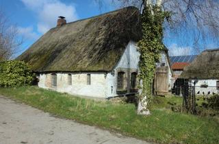 Bauernhaus kaufen in 24861 Bergenhusen, Einzigartige Chance: Historisches Reetdachbauernhaus im malerischen Storchendorf!