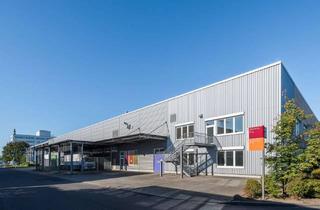 Gewerbeimmobilie mieten in Rhinstrasse 132, 12681 Marzahn, Produktionshalle in Berlin mit 3 Kranbahnen!