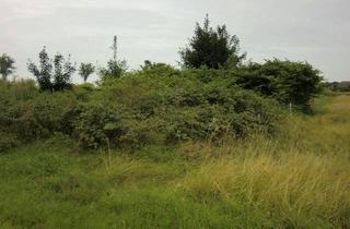 Grundstück zu kaufen in 25813 Husum, Idyllisches Baugrundstück im charmanten Landschaftsschutzgebiet mit genehmigtem Bauvorhaben.