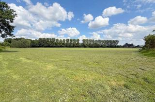 Gewerbeimmobilie kaufen in 46419 Isselburg, 8 ha Grünland in Isselburg - Verkauf im Bieterverfahren