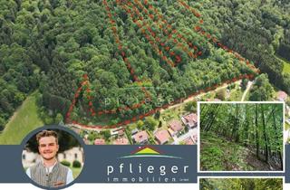 Gewerbeimmobilie kaufen in 94160 Ringelai, ca. 5,1ha Waldgrundstück