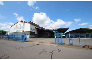 Gewerbeimmobilie kaufen in 69427 Mudau, Gewerbobjekt mit mehreren Hallen, Wohnhaus, großzügigen Freiflächen und Stallgebäude ...