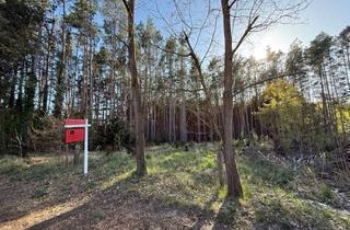 Grundstück zu kaufen in 15859 Kummersdorf, Kummersdorf - PROVISIONSFREI! Ruhig gelegenes Baugrundstück am Waldrand - fußläufig zum Bahnhofnahe Wolziger
