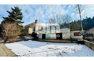 Grundstück zu kaufen in 07958 Hohenleuben, Hohenleuben - Grundstück in Hohenleuben 99.000,00 ? 13048 m²