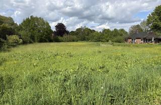 Gewerbeimmobilie mieten in Schanze 1a, 24613 Aukrug, Koppel in Aukrug: 600 m² Wiese