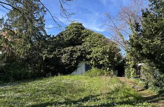 Einfamilienhaus kaufen in 67549 Worms, Einfamilienhaus mit riesigem Garten