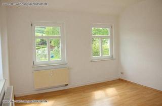 Wohnung mieten in 09623 Rechenberg-Bienenmühle, Gemütlich 2-Raumwohnung mit Gartennutzung!