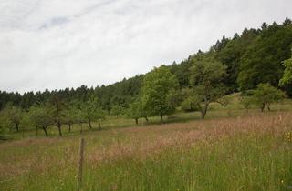 Immobilie kaufen in Am Käsberg, 64646 Heppenheim, Idyllisches Grundstück in Heppenheim (Bergstraße): Natur pur, Ruhe und Raum für Ihre Träume!