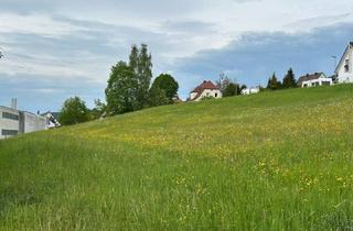 Immobilie kaufen in 91220 Schnaittach, Viel Platz in guter Lage - Großzügiges Grundstück in Schnaittach