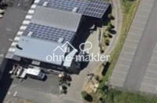Büro zu mieten in Am Streitwald, 56856 Zell, Gewerbe Halle für Handwerk, Praxis oder Verkauf in Zell - Barl