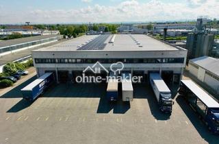 Büro zu mieten in 67227 Frankenthal, Moderne Logistikhalle mit Top A6 Anbindung 15 Tore großzügige Freifläche