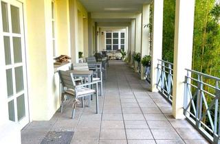 Wohnung mieten in 76461 Muggensturm, Helles Appartement mit Stellplatz und Einbauküche